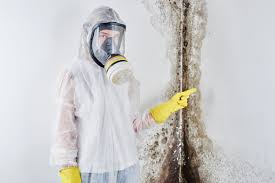 Mold Remediation for Vacation Homes in Grafton, WV